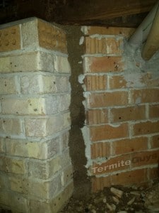 Termite Entry Point