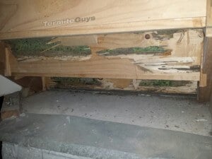 termite damage in Stairs