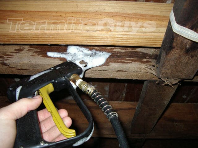 Termite Foam being applied by a qualified technician.
