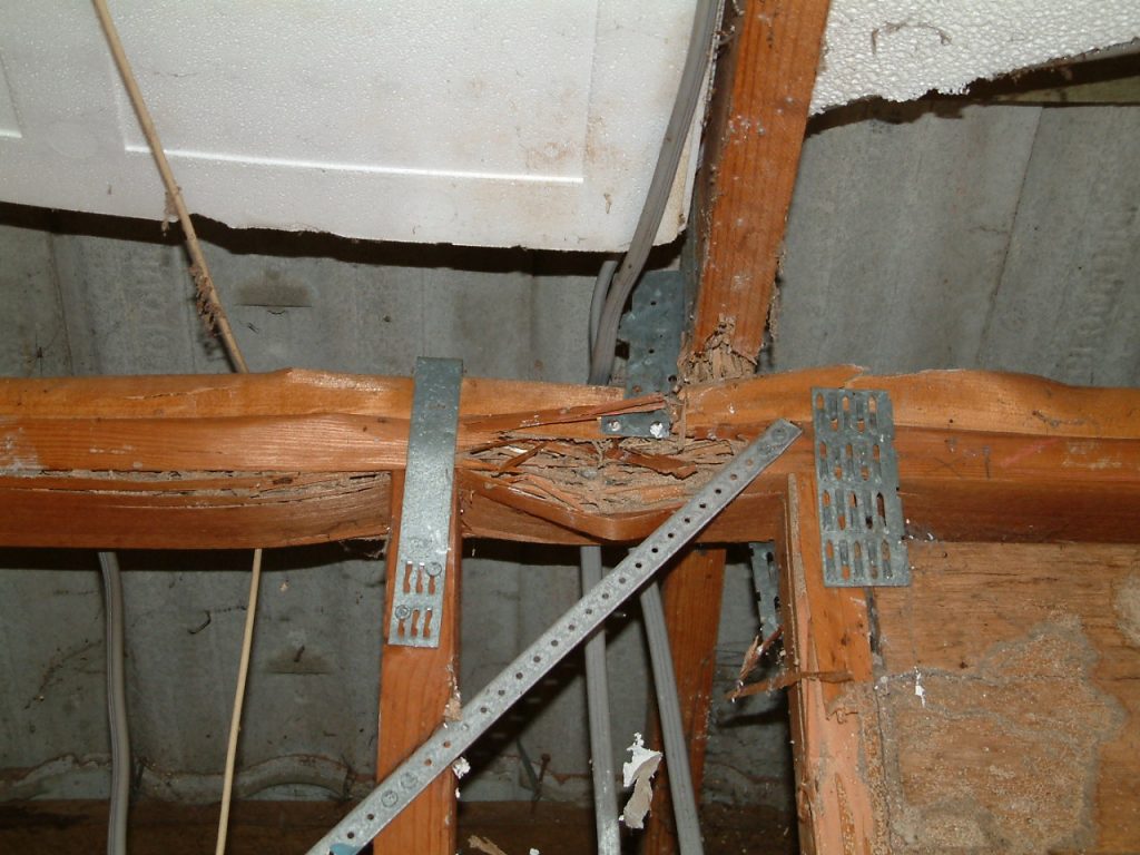 Check for termites in bulging bearing beams.