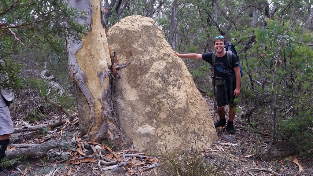 Termite Inspired - Michael inspecting a massive termite mound. 