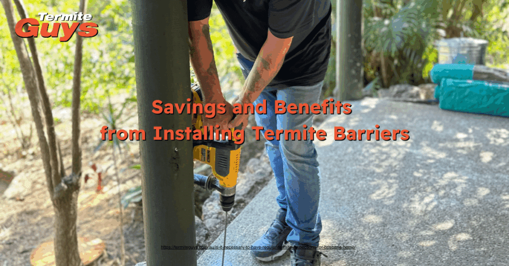 Protective termite barrier installation in Brisbane to prevent costly home damage