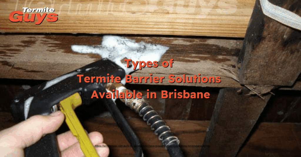 Termite barrier systems used in Brisbane homes including chemical, physical, and reticulation systems.