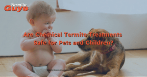 Are chemical termite treatments safe for pets and children during termite control in Brisbane homes.