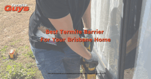 A termite barrier being installed around the foundation of a Brisbane home to prevent infestations.