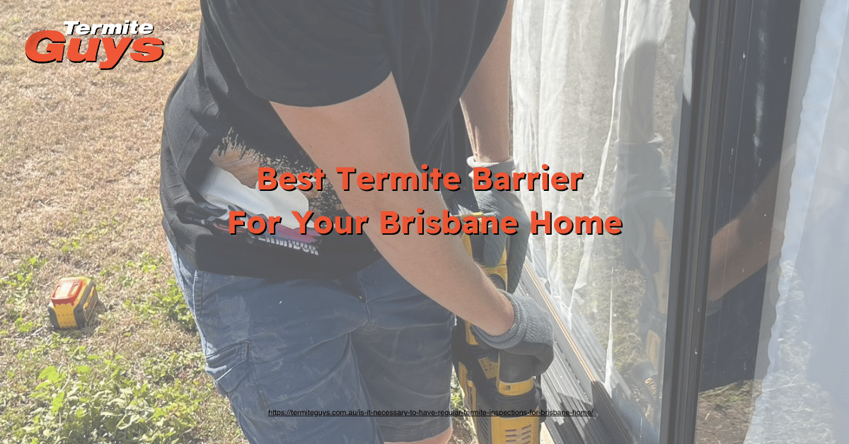 A termite barrier being installed around the foundation of a Brisbane home to prevent infestations.