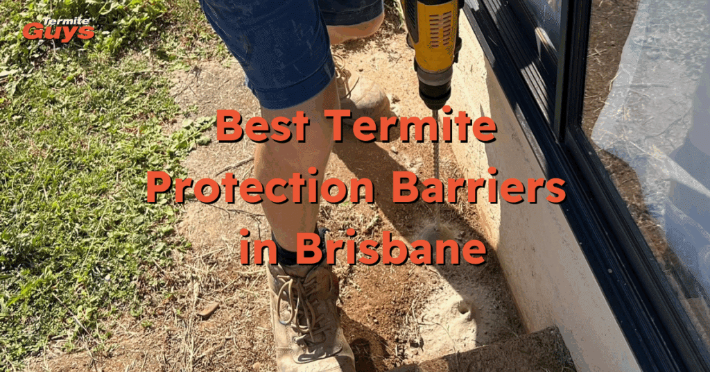 Termite barrier installation at a Brisbane home for long-term protection against termites