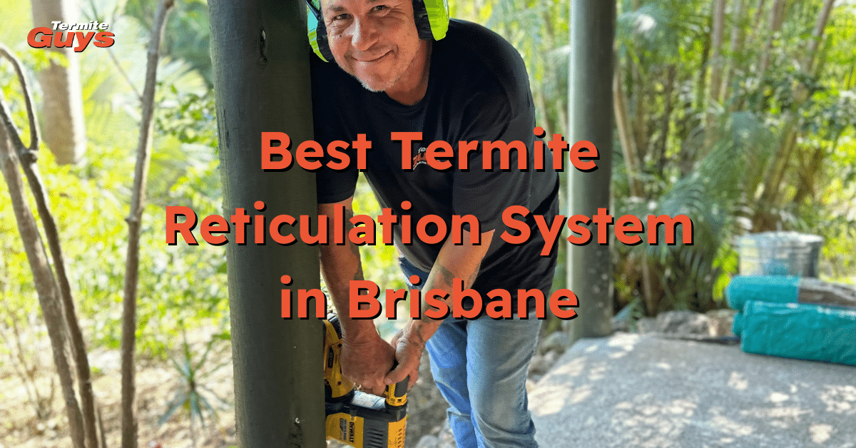 Termite reticulation system installed in a Brisbane home for long-term pest protection