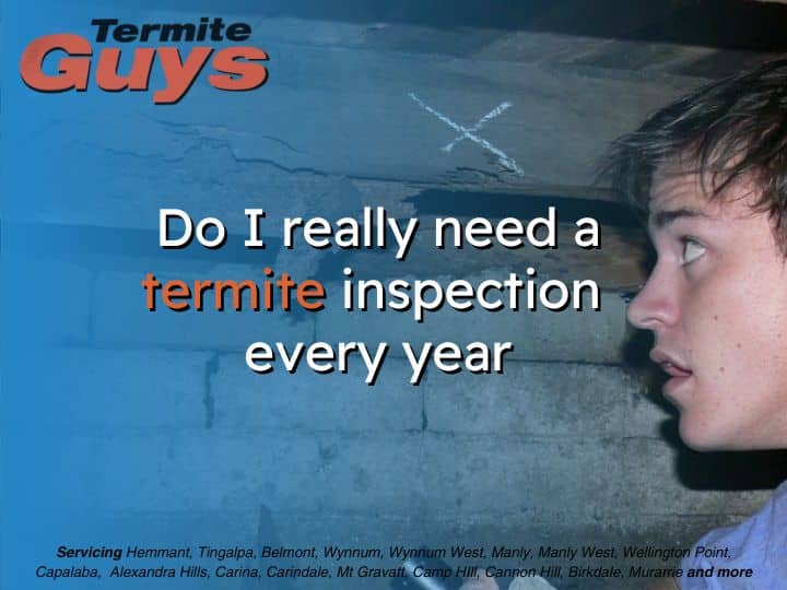 Homeowner meets termite inspector for annual termite inspection in Brisbane