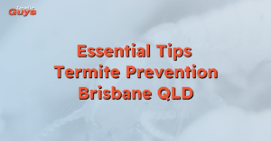 Termite prevention tips for Brisbane homes – expert protection services by Termite Guys Brisbane