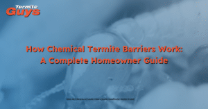 How chemical termite barriers work to protect Brisbane homes by creating treated soil zones that stop or eliminate termites.