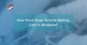 Property in Brisbane showing visible termite infestation damage before termite baiting treatment