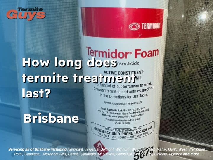 Termite technician applying treatment in Brisbane home to ensure long-lasting termite protection.