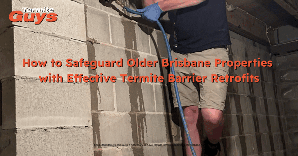How to Safeguard Older Brisbane Properties with Effective Termite ...