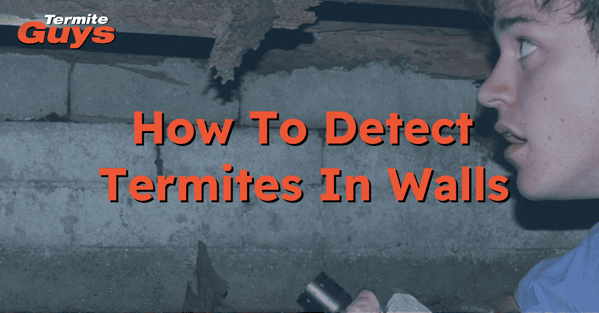 How Do You Tell If You Have Termites In Your Walls Termite Guys Brisbane