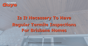 Home termite inspection in Brisbane - Essential for preventing termite damage