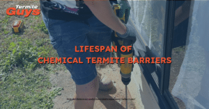 Illustration explaining the typical lifespan of chemical termite barriers around a Brisbane home, showing soil treatment zones and long-term protection from subterranean termites