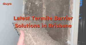 Technician checking out termite damage in a house before applying the latest termite barrier solution to prevent infestation of termites in the future.