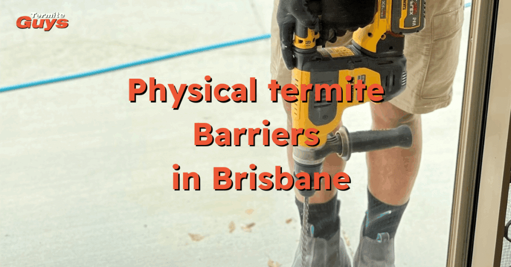 Technicians drilling around a Brisbane home to install physical termite barriers for long-term pest protection