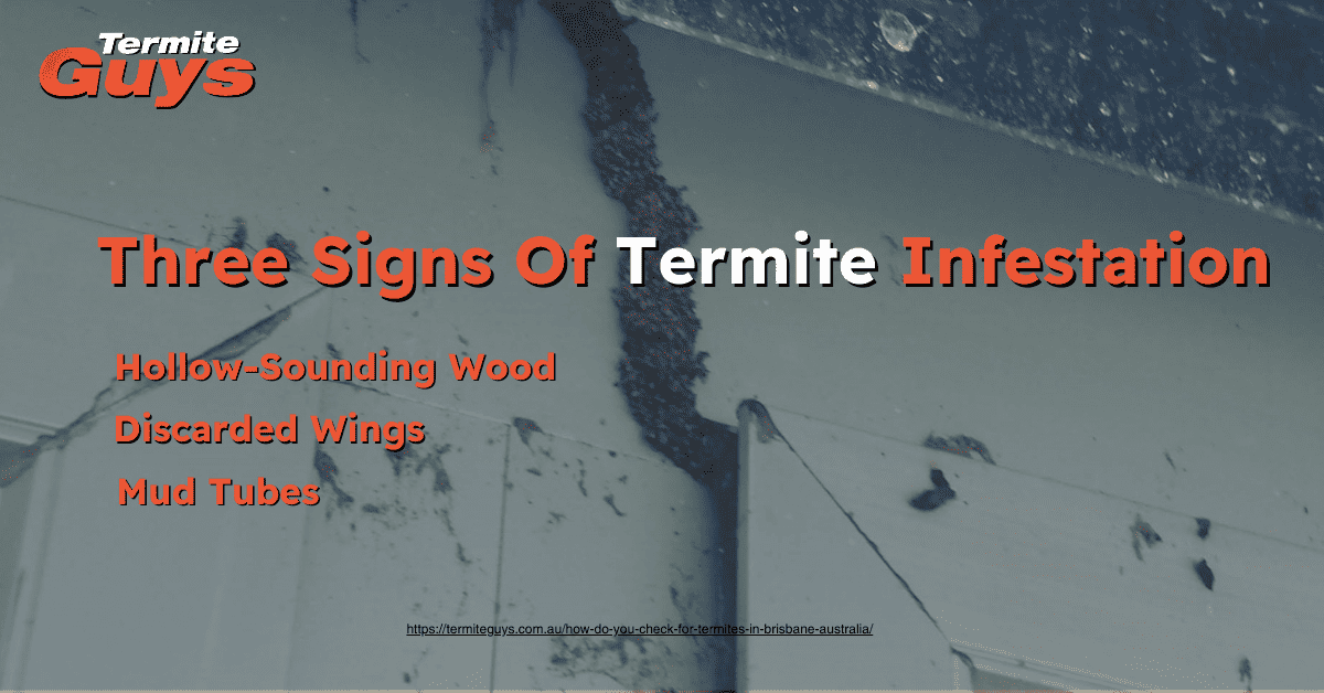What are the signs you have termites