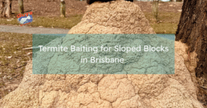 Termite bait stations installed around a sloping residential block in Brisbane to protect the home from termite activity