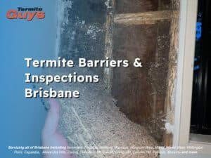 Termite barriers and inspections in Brisbane by trusted specialists protecting homes from termite damage.