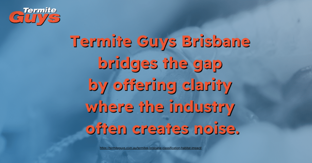 Termite Guys Brisbane providing clear, expert termite advice that cuts through industry confusion.