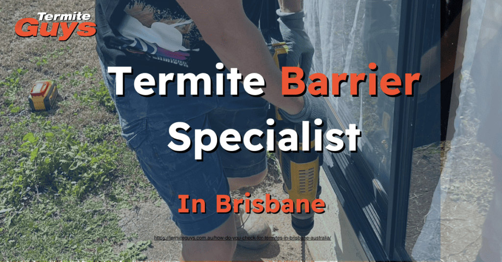 Best Termite Barrier Installation Brisbane. At Termite Guys you will get professional advise on how to treat and remove the termite infestation you have on your property.