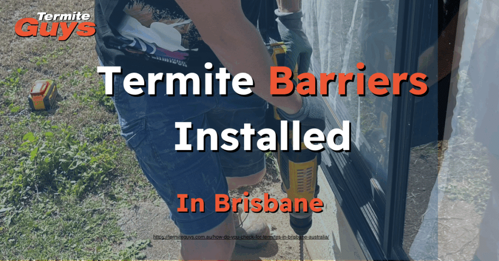 Chemical and physical termite barriers professionally installed in a Brisbane home to prevent infestations.