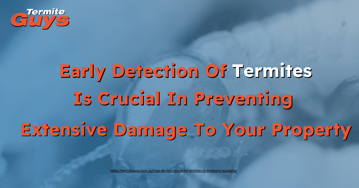 How can you tell early  termite damage