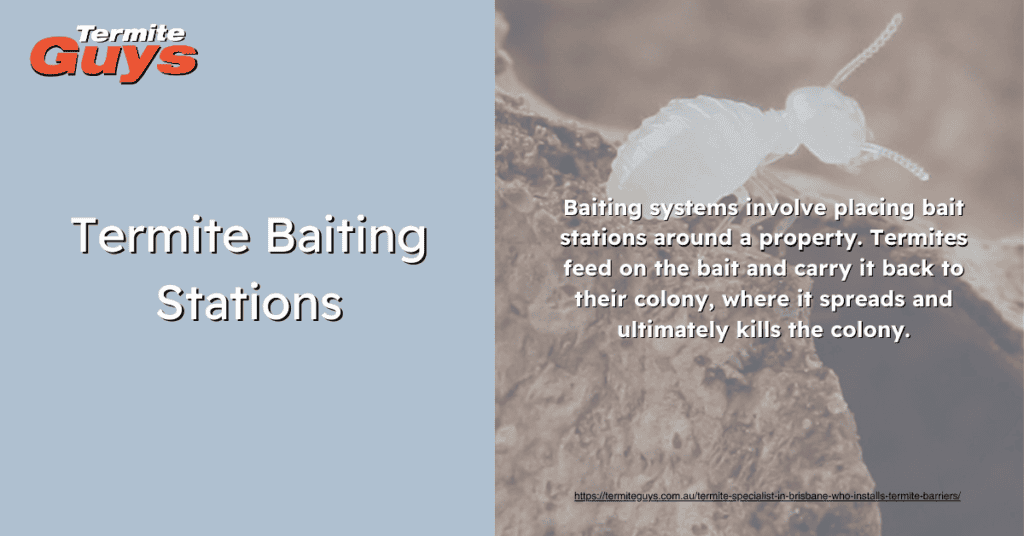 Termite baiting stations strategically placed around your Brisbane home offer a long-term, effective solution to attract and eliminate termites. These stations use non-repellent bait that termites carry back to their colony, ensuring comprehensive termite control and protection for your property. Regular monitoring by professionals keeps the system effective and your home safe.