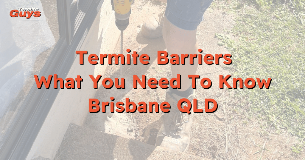 Termite Barriers Brisbane: Trusted Protection Against Termites ...