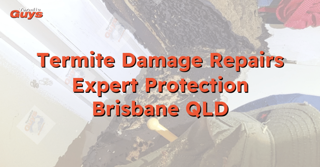 Extensive termite damage repair work underway in a Brisbane home by Termite Guys Brisbane experts