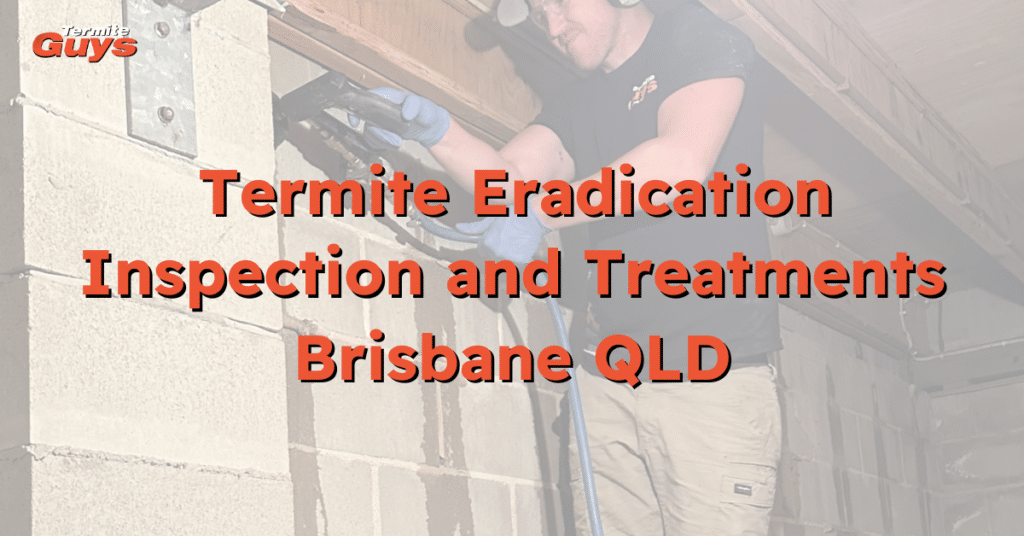 Technician performing a termite inspection on a residential property in Brisbane, part of expert termite protection services by Termite Guys Brisbane.