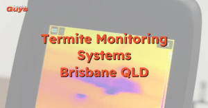 Technician performing termite inspection and installing monitoring stations around a Brisbane residential home