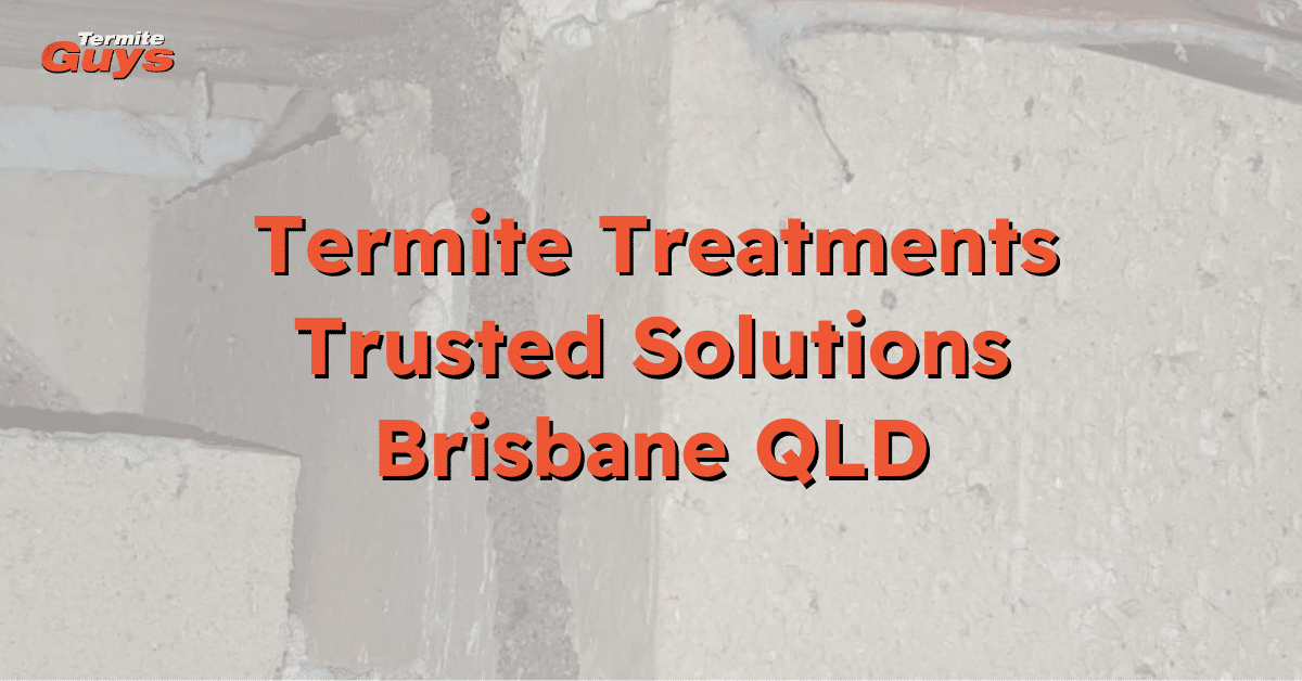 Termite treatment in progress by Termite Guys Brisbane at a Brisbane home