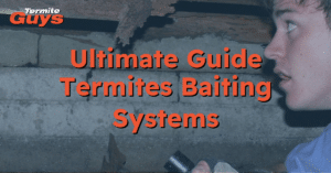 Technician installing a termite baiting system around a Brisbane home to prevent termite infestation