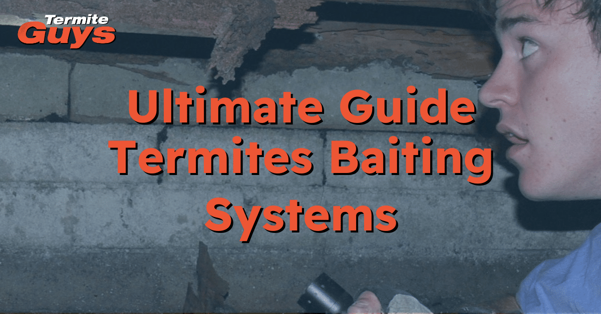 Technician installing a termite baiting system around a Brisbane home to prevent termite infestation