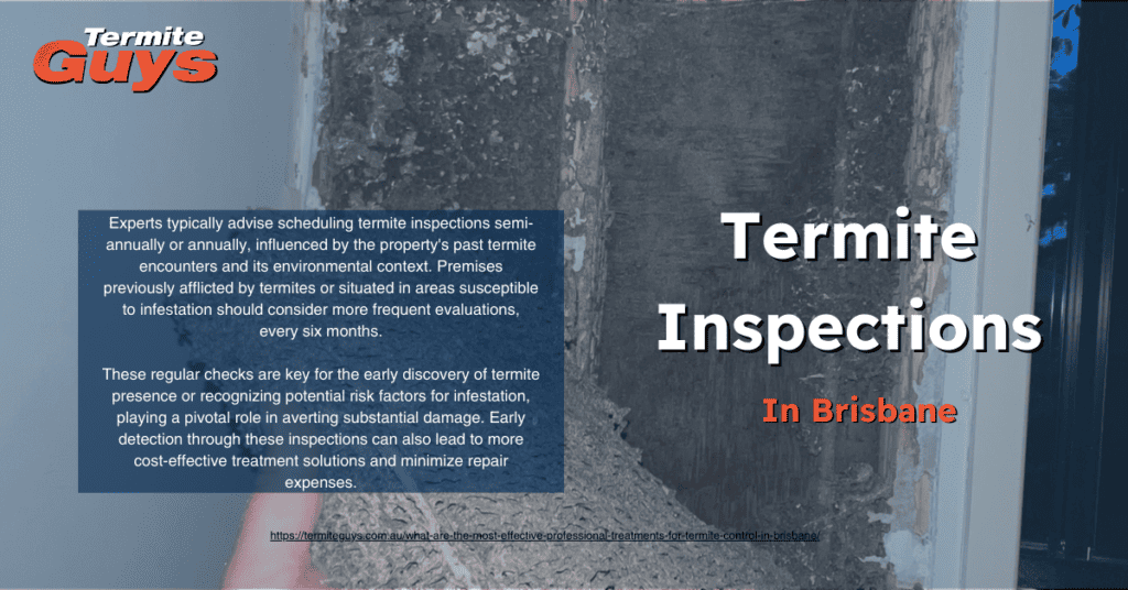 Learn more about termite inspections in Brisbane