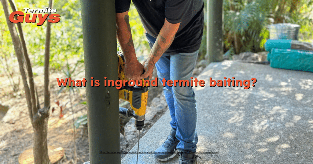 Image of inground termite baiting system installed in soil near a Brisbane home for termite prevention.