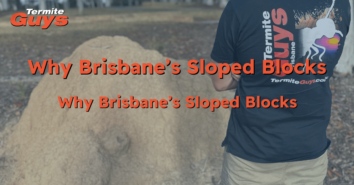 echnician accessing subfloor on a Brisbane sloped block to inspect failed liquid termite barrier