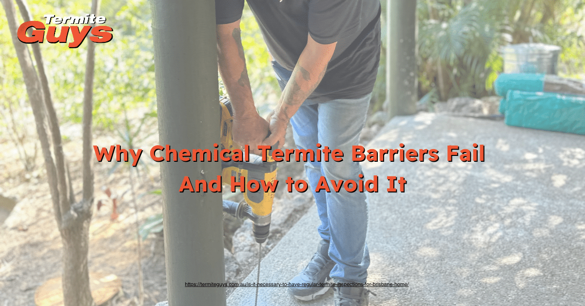Technician installing an in-ground termite barrier around a Brisbane home to protect against termite infestation.