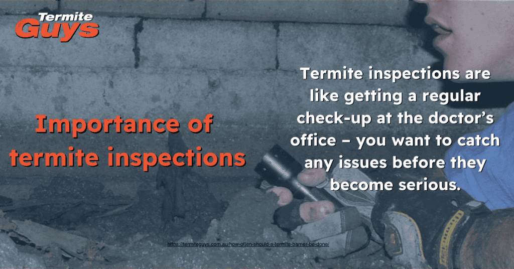 ermite inspections are vital for safeguarding your home's structural integrity and preventing costly future damage from hidden infestations.