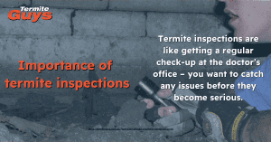 ermite inspector examining termites during a home inspection.