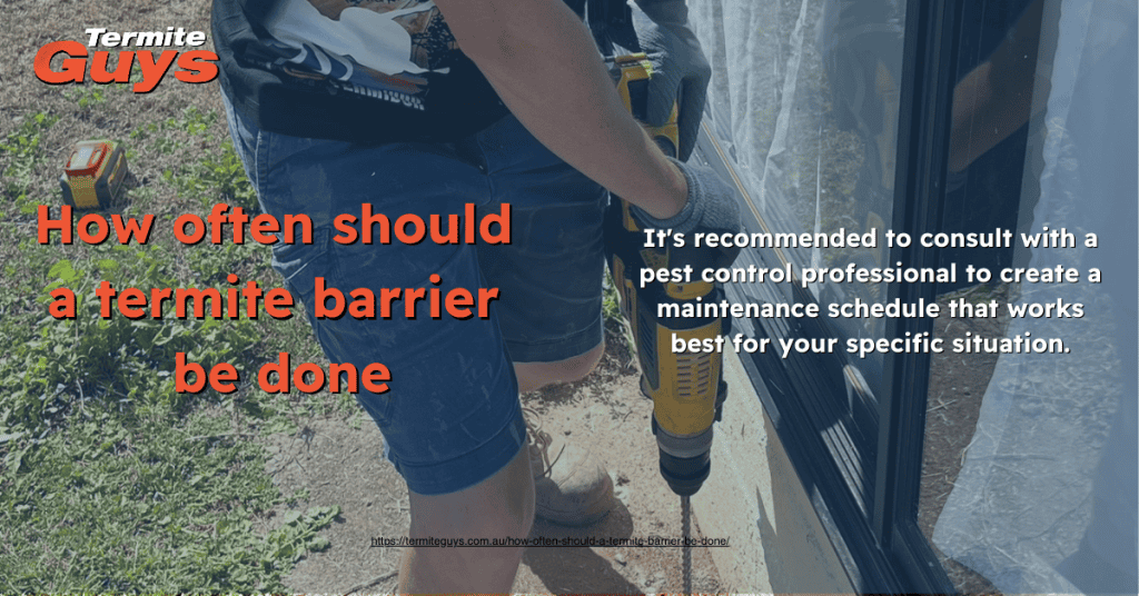 GPT

Termite barriers should be installed and inspected every 8 years, but regular annual checks are recommended to ensure ongoing effectiveness and address any vulnerabilities.