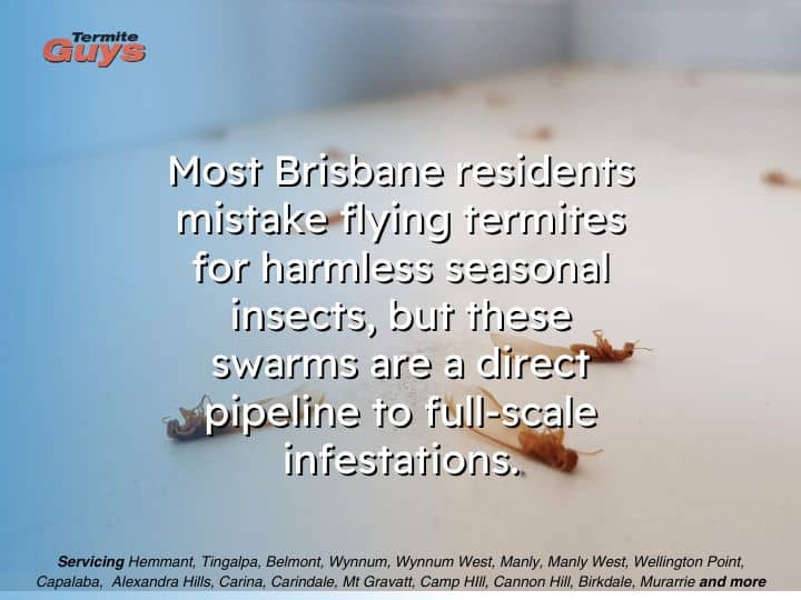 Flying termites swarming around a light during spring, indicating a nearby nest and potential infestation risk.