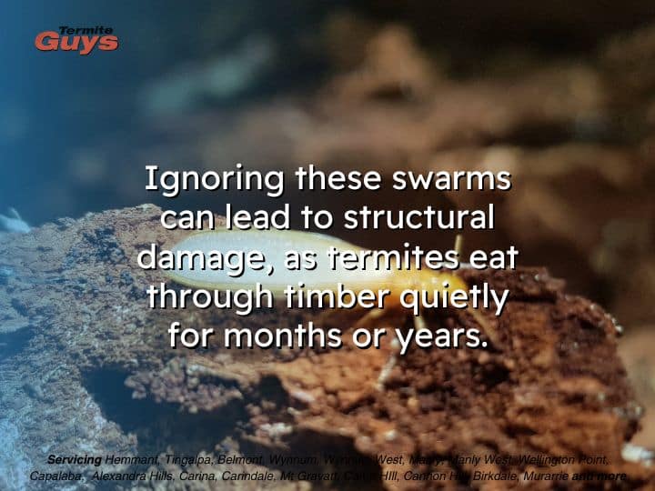 Flying termites swarm near a timber beam, indicating a risk of structural damage if not treated.