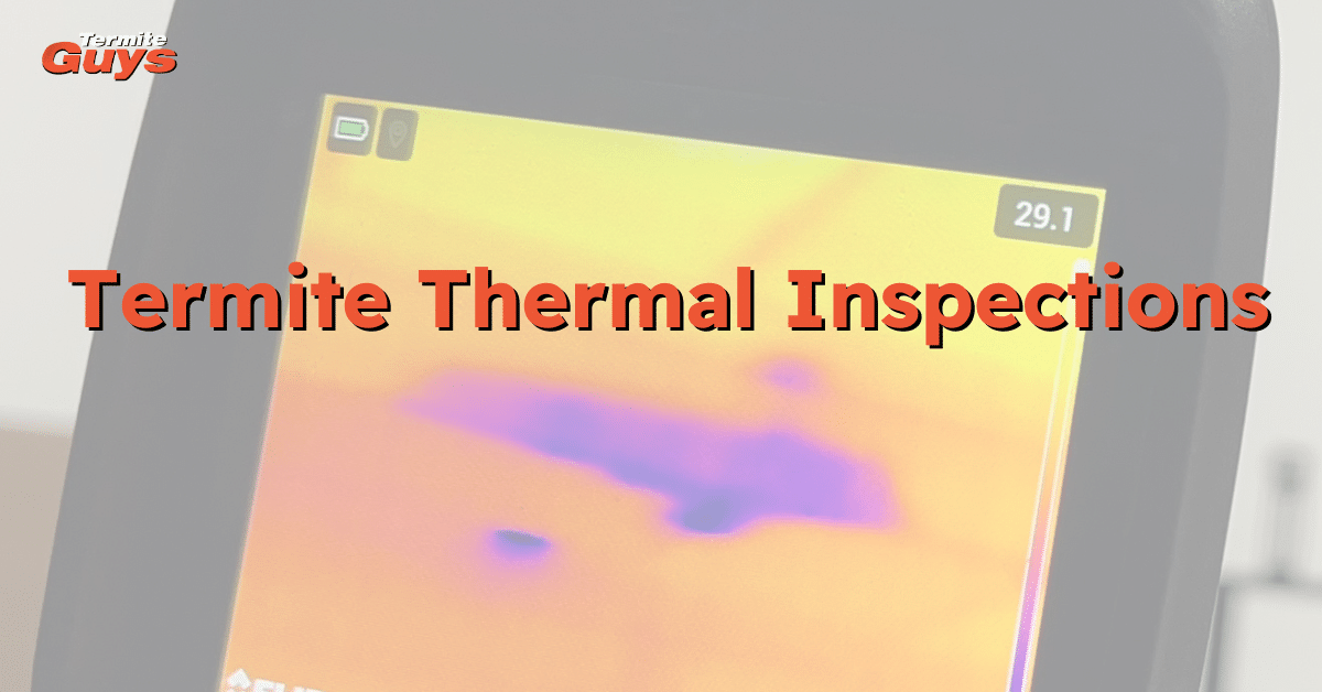Termite inspection (thermal)