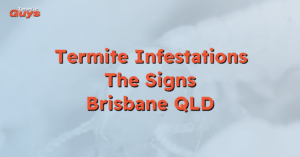 Visible termite damage on timber framing in a Brisbane home, highlighting common signs of infestation for residential termite inspections by Termite Guys Brisbane.