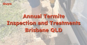 Technician performing annual termite inspection and treatment at a Brisbane residential property – Termite Guys Brisbane